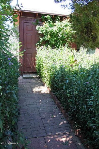 Back Yard 2