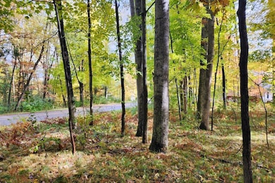 11875 Timberlane Dr unit 119, Canadian Lakes, MI 49346 - photo 2