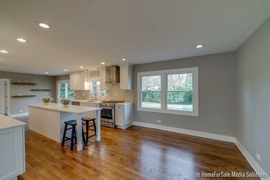 233 S Charles Ave, Naperville, IL 60540 - photo 3