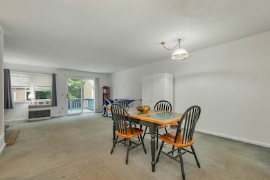 75 Haynesville Ave unit 18, Conway, NH 03818 - photo 5