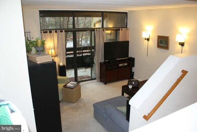 11557 Rolling Green Ct unit 200, Reston, VA 20191 - photo 5