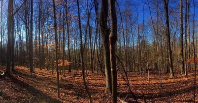 L163 Cleverdale Rd, Glens Falls, NY 12804 - photo 4