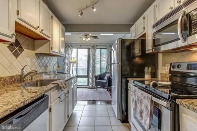 13124 Wonderland Way unit 303, Germantown, MD 20874 - photo 3