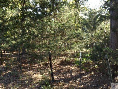 2037 Gun Club Rd, Texarkana, TX 75501 - photo 6