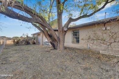 299 Tranquility St, Canutillo, TX 79835 - photo 3