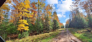 View of road