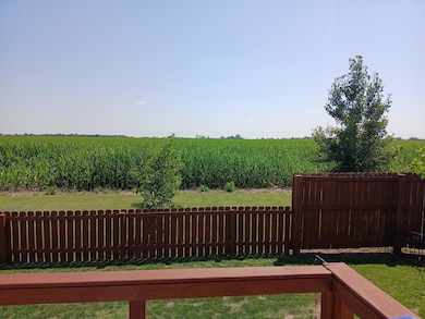 Back Yard #2 from upper deck (002)
