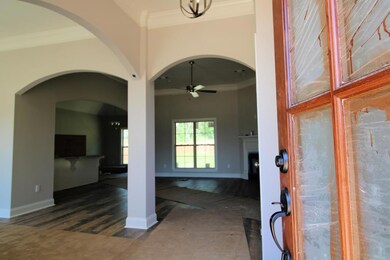 1816 Atlanta Ave, Oxford, MS 38655 - photo 3