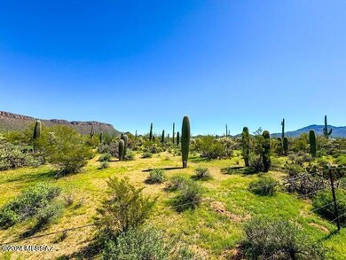 20240305013806587518000000-o