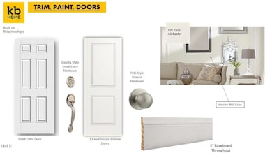 Trim Paint Doors