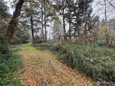 764 Tern Ct SE, Ocean Shores, WA 98569 - photo 4