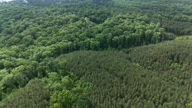 0 0 Cr 323 (29 Acres) unit 25-2233, Iuka, MS 38852 - photo 4