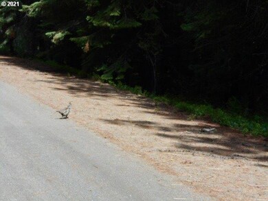 0 unit 21242753, Fox, OR 97856 - photo 7