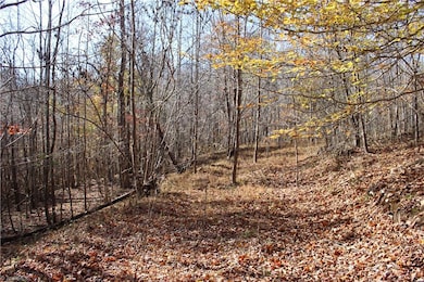 00 Ralph Joyce Rd, Sandy Ridge, NC 27046 - photo 3