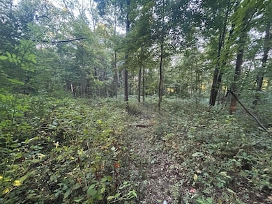 11500 Goose Lake Rd, Jonesville, MI 49250 - photo 2