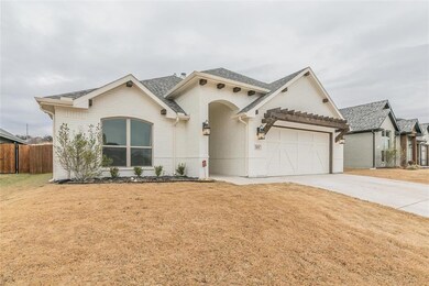 313 Pleasant View Dr, Weatherford, TX 76086 - photo 2