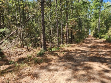 Lot 24 Yellow Poplar Ln, Plantersville, TX 77363 - photo 5