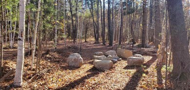 0-36 Bear Paw Trail unit 36, Littleton, NH 03561 - photo 7