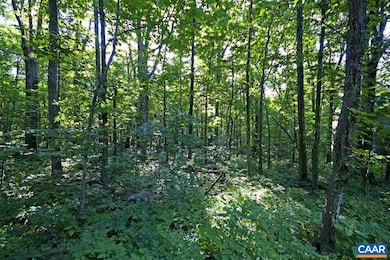 25 Stony Cove Ln, Roseland, VA 22967 - photo 2