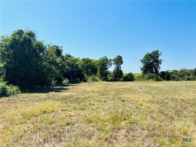 7881 Pecan Rd, Troy, TX 76579 - photo 6