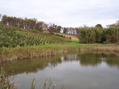 395 Hiller Rd, Montoursville, PA 17754 - photo 6