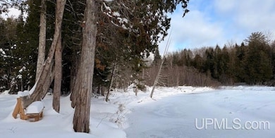 N7228 Rock River Rd, Deerton, MI 49822 - photo 2