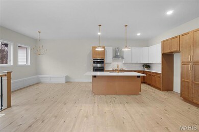 2413 Fiddlers Close Rd unit 110 STB, St. Johns Township, MO 63090 - photo 5