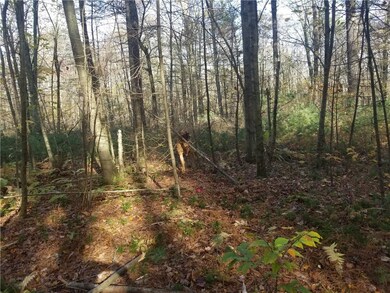 0 Bull Hill Rd unit 1177523, Woodstock, CT 06281 - photo 5