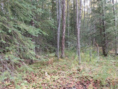 L5D Saxton Ct, Hope, AK 99605 - photo 3