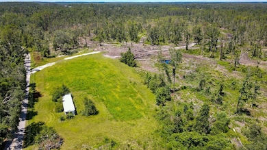 1217 SW Caleb Ave, Madison, FL 32340 - photo 2