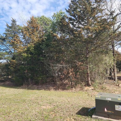 60 Brighton Pointe Ln, Heber Springs, AR 72543 - photo 5