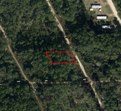 123 Coot Rd, Satsuma, FL 32189 - photo 2