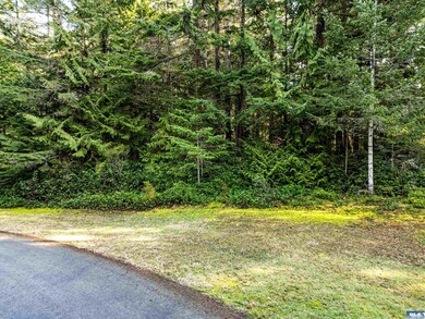 9999 Hunt Rd, Port Angeles, WA 98363 - photo 4