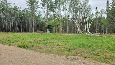 ON County Highway B unit 2 Acres, Summit Lake, WI 54485 - photo 3