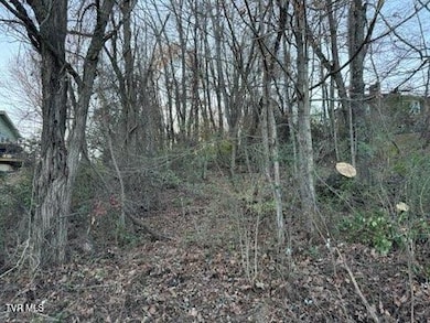 Tbd Briscoe Dr, Bristol, VA 24202 - photo 6