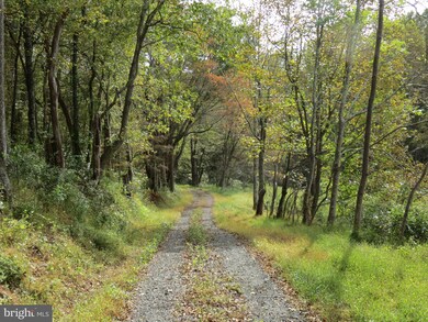 0 Jobbers Mountain Rd unit VARP107410, Sperryville, VA 22740 - photo 2