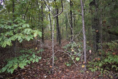 00 Coyote Ridge, Walhalla, SC 29691 - photo 6