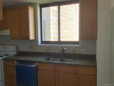 Woodner House Condominiums unit 9DA, Flushing, NY 11355 - photo 6