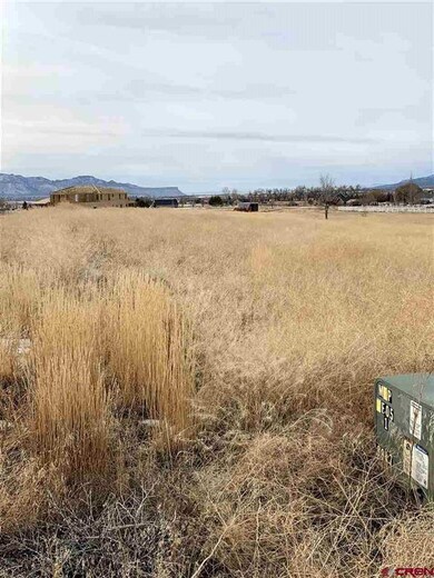 0 Road North 6 Loop unit 35 766006, Cortez, CO 81321 - photo 4
