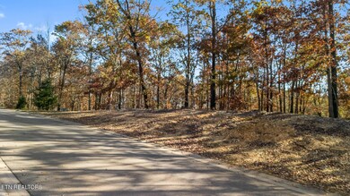 dji_20251112095515_0696_d