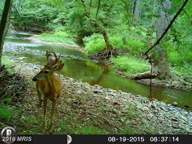0 Old Foxville Rd unit 1002908562, Warrenton, VA 20186 - photo 3
