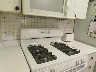 Gas Range