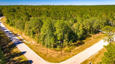 TBD Grey Feather Rd, Huntsville, TX 77340 - photo 4