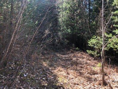 Hill st area photo