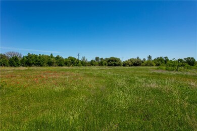 View of nature