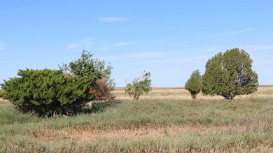 NO460 Rd, Griggs, OK 73949 - photo 4