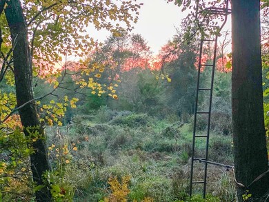 0 Cr 1651 unit 20219279, Avinger, TX 75630 - photo 4