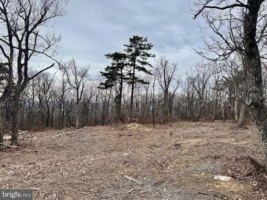 LOT 153 Bobcat Trail, Winchester, VA 22602 - photo 5