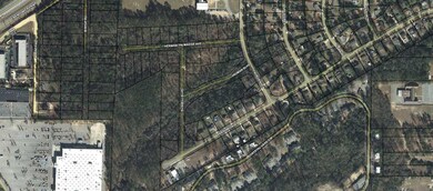 0 Faubus Ave, Macon, GA 31206 - photo 3