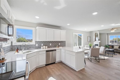 445 Napoli Ave, West Des Moines, IA 50266 - photo 5